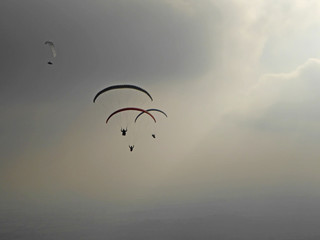 Paragliders flying wings on a misty morning