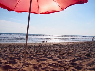 Beach day under an umbrella