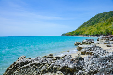 The beach is full of rocks,beach full of rocks in Montenegro with beautiful view to sea,Beautiful scenery on the beach at low tide seen rocks on the mainland full of charm.