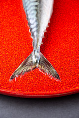 Top view of mackerel tail, on red plate and gray background in vertical with selective focus