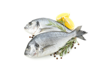 Dorado fishes, lemon, rosemary and pepper isolated on white background