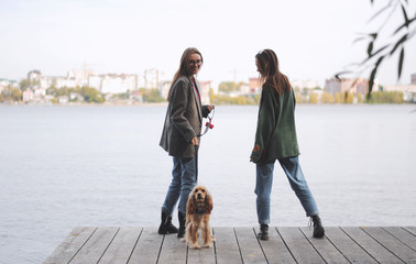Two girls and english cocker spaniel dog stand on wooden bridge.Portrait of dog outside (outdoors)....
