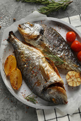 Plate with baked Dorado on garnished grey background, close up