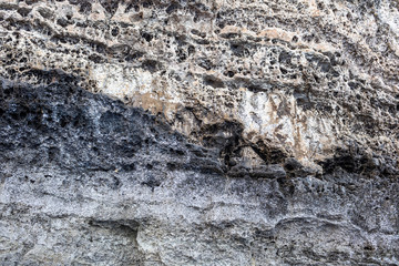 Background, texture of grey rock. Texture, background of shell rock.