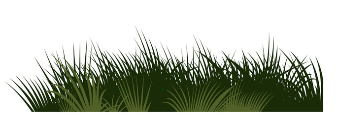 Grass, meadow. Vector. Juicy summer herbs on a transparent background. Isolated object.