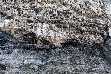 Background, texture of grey rock. Texture, background of shell rock.