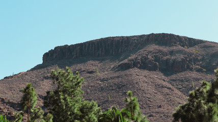 Volcanic rock mountains with clear sky and tropical desert vegetation