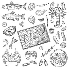 Seafood. Big hand-drawn set. Vector cartoon illustrations. Isolated objects on a white background.