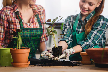 Mother and daughter repotting plants together at home garden. Spring gardening.