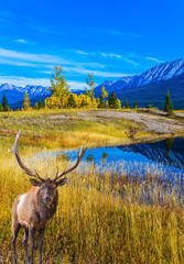 Concept of ecological tourism