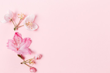 Naklejka na ściany i meble Festive flower composition on the pink background. Overhead view