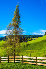 Obraz premium The wooden fence
