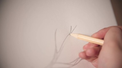 A young woman sketching an abstract tree on the canvas using a pencil - Powered by Adobe