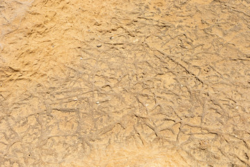 dry groun interesting texture and background. land after drought. desert