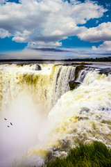  Andean condors fly above the water