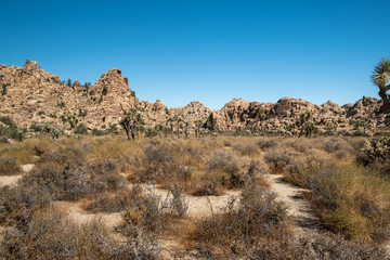 Fototapeta na wymiar mountain view in the desert of Joshua tree national park, California