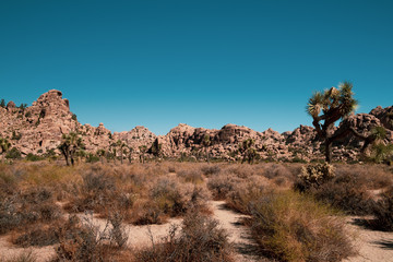 panorama on mountains at Joshua tree national park, California