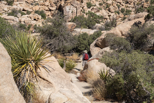 bagpacker strolls at Joshua tree national park desert, California