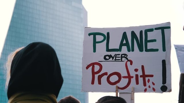 Planet over Profit sign at Fridays for Future Protests in Frankfurt, Germany