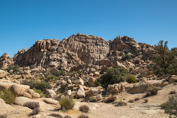 Stones and scenic view in Joshua tree national park, california