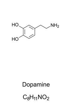 Dopamine molecule, skeletal formula. Structure of DA, C8H11NO2. Hormone and neurotransmitter. In popular culture and media seen as main chemical of pleasure. Structural formula. Illustration. Vector.