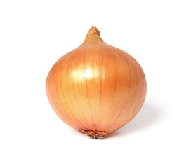 Natural fresh yellow onion isolated on white background with clipping path.