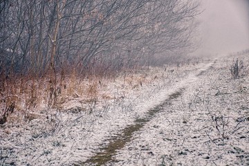 A view of fog on a river. Location - photo shoot by the river Vah Komarno /Slovakia/. Caught vegetation by the river.