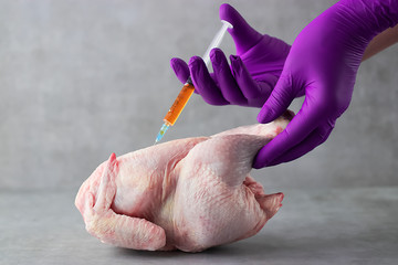 Chicken, hands with a syringe, an antibiotic and hormones. Gray background.