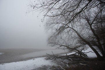 A view of fog on a river. Location - photo shoot by the river Vah Komarno /Slovakia/. Caught vegetation by the river.