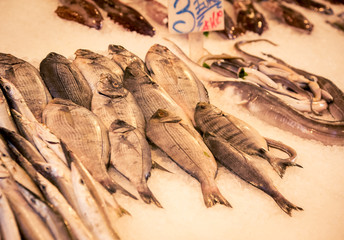 fish at a market Naples Italy