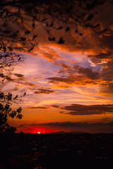 Obraz premium sunset over the city