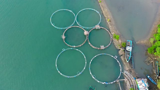 Aerial view of fish ponds for bangus, milkfish. Fish farm, top view. large scale traditional floating fish farms.
