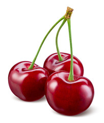 Cherry isolated. Cherries on white. Sour cherries. With clipping path.