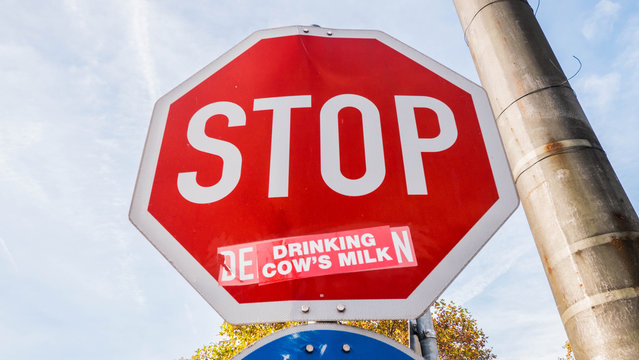 Stop drinking Cow's Milkd, vegan stop sign vandalism