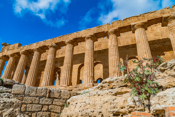 Fototapeta premium The Temple of Concordia is an ancient Greek temple in the Valley of Temples in Agrigento