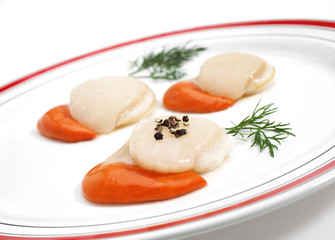 COQUILLE SAINT JACQUES