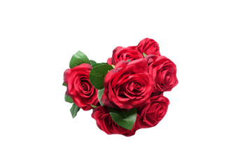 A beautiful red rose blooming