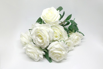  White roses and white backgrounds