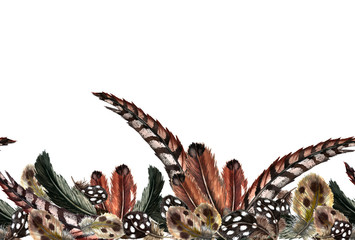 Seamless bottom border of of realistic domestic and wild birds’ feathers. Guinea fowl, quail, pheasant, partridge, duck. Watercolor hand painted isolated elements on white background.