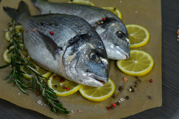 Raw fish with aromatic herbs, spices, salt and lime slices.Raw dorado on dark background .healthy food, cooking, diet, nutrition concept.