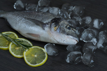 Raw fish dorado. Raw fish fillet and lemon on ice on dark background , mediterranean cuisine