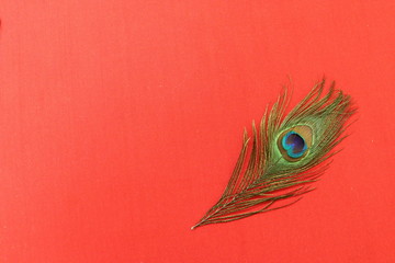 Red fabric texture with a peacock feather in the lower left corner.