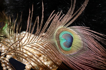 Peacock feather on a background of pearl necklaces and black fur. 