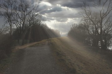 Nebel an der Donau