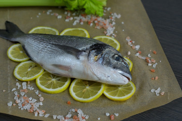 Raw fish dorada.Raw fish fillet on lemon slices on dark background ready for cooking, food background. top view. Healthy food concept. Mediterranean seafood. gilt-head sea bream