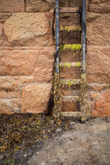 Black ladder of a quay wall covered with seaweed