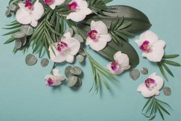 orchid flowers and green leaves on mint color paper background