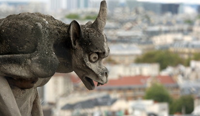 gargoyle on the cathedral of Notre Dame in Paris while observing