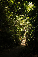 Obraz premium sendero natural