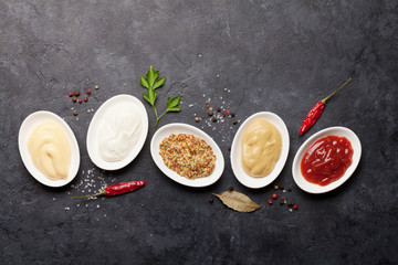 Obraz na płótnie Canvas Set of various sauces. Popular sauces in bowls